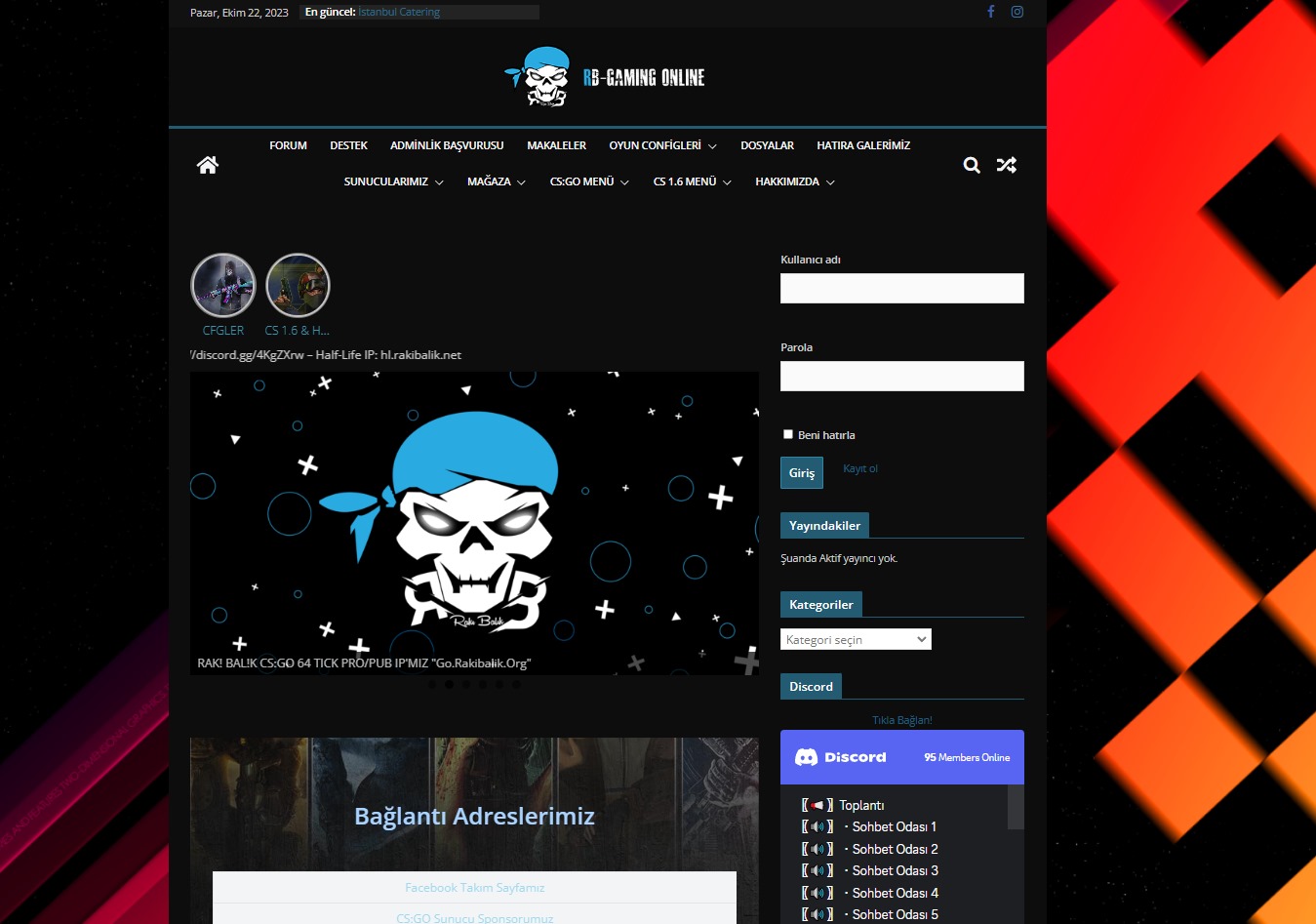 web-site-2